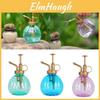 Elegant Antique Pumpkin Watering Pot Spray Bottle For Indoor And Outdoor Plants