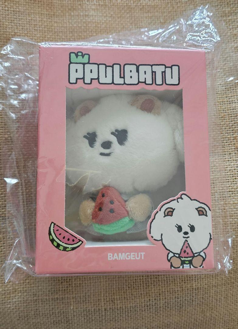 

[USED] TXT PPULBATU Key Ring Bumguk