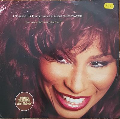 12inch Record CHAKA KHAN, ME'SHELL NDEGÉOCELLO - Never Miss The Water W0393T Reprise Records 1997 UK Dance & Electronica Used