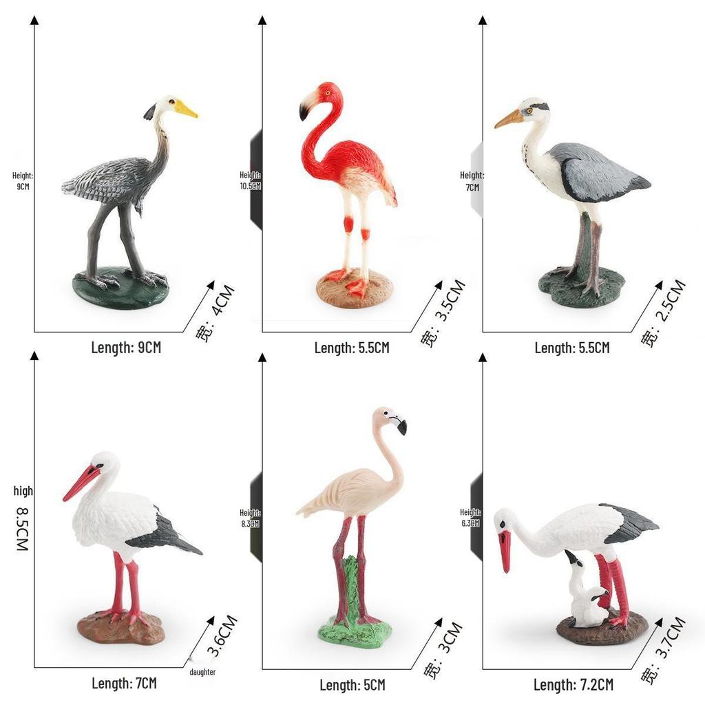 Desktop Flying Bird Models: Educational Flamingo, Heron & Crane Ornaments for Children