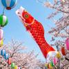 Cartoon Japanese Carp Windsock 40/70/100cm Carp Shape Flags Fashion Carp Spray Windsock  Festival