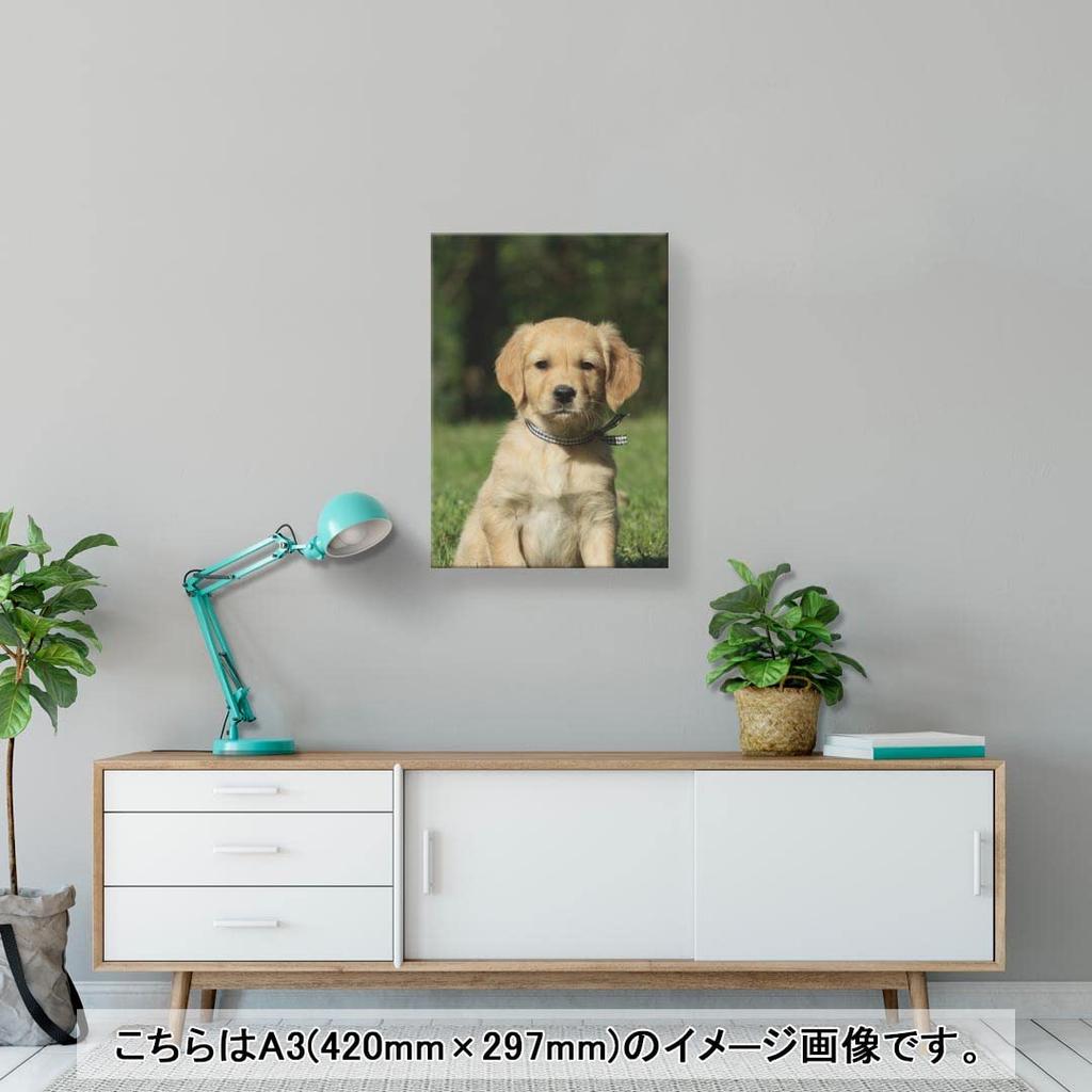 Art 420mm X Wall Wooden Stylish Interior Animal Photo Panel, Painting, Decoration, Igsticker, 297mm, A3, Photo, Hanging, Frame, Decor, 002580, Animal,