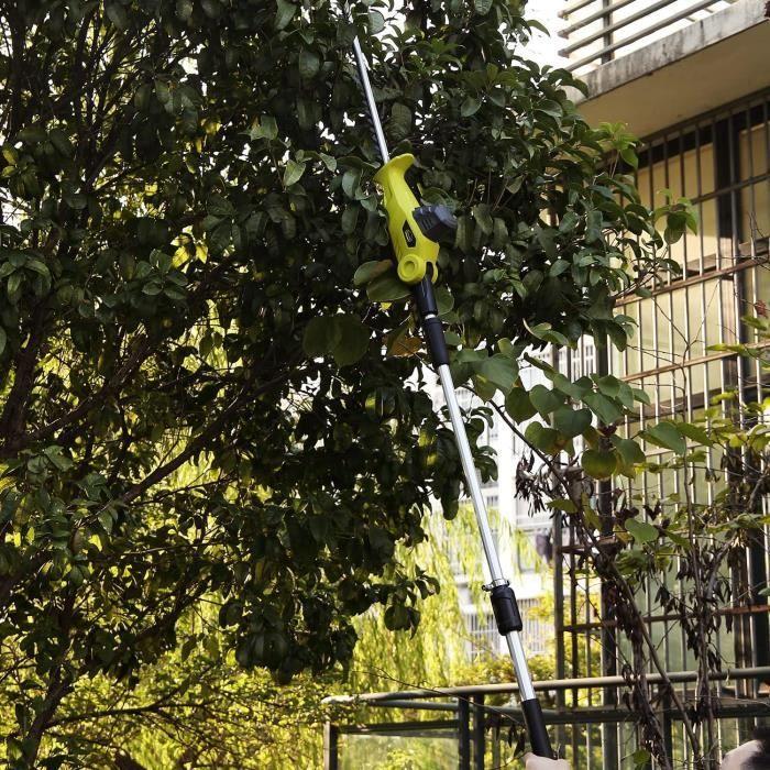 Taille-haies - dewinner - téléscopique - 2 batteries 20v - hauteur 2,40 m - électrique sans fil
