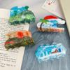 Acetic Acid Acetate Hair Clip Summer Special-shaped Grab Clip Fashion Four Seasons Hair Claw  Girls