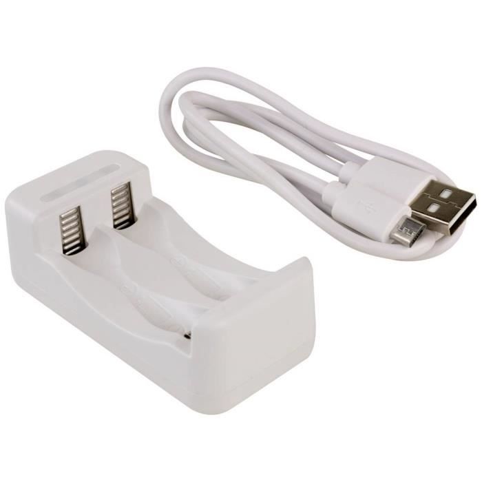 Ansmann basic ii + 2× aa 1300mah chargeur de piles rondes nicd lr03 (aaa), lr6 (aa)