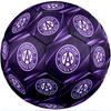 Austria Wien FC Size 5 Standard Football Durable Training Match Soccer Ball for Adult Outdoor Sports
