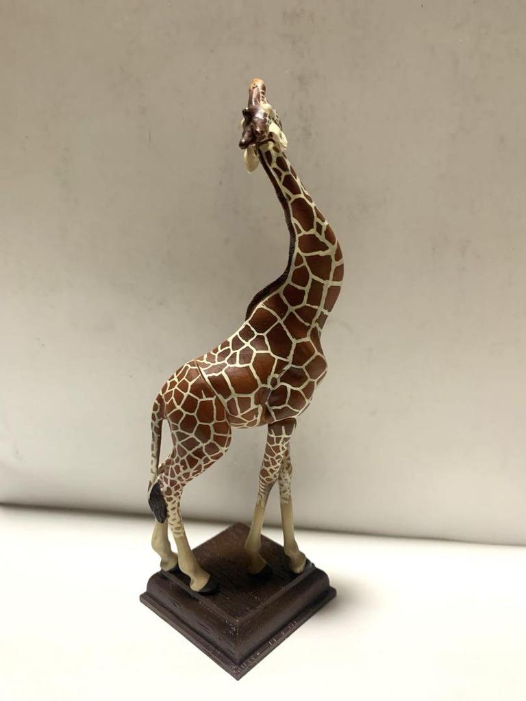 [USED] Nature Technicolor Reticulated Giraffe Savanna
