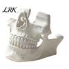 Video Game Controller Dock 3D Printed Skull Holder, Head Stand for Gaming Desktop Organizer Controller, Cool Display Room Decor, Gamer Gift