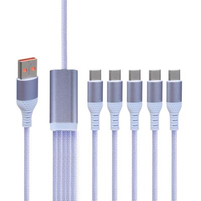 USB C Splitterkabel, 5 in 1 USB Stecker auf 5 USB C Stecker Ladekabel Datenkabel für einige USB Typ C Handys, Geräte