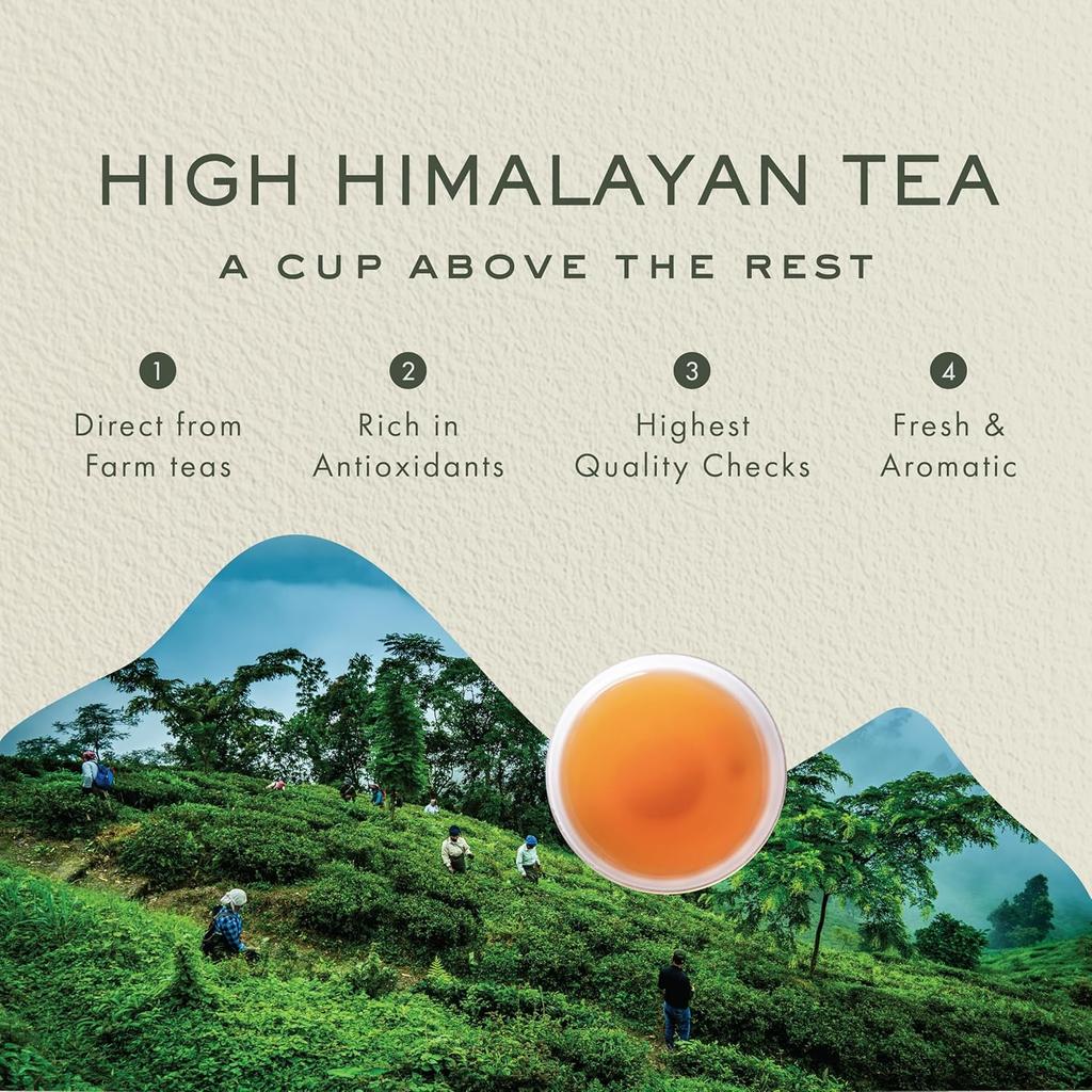 Makaibari Darjeeling Black Tea 250 G Loose Leaf Monocarton Strong Muscatel Flavor Handpicked Premium Chai Organic