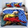 Anime One-Punch Man Saitama Bedding Set,Duvet Cover Comforter Bed Set Quilt Cover Pillowcase,King Queen Twin Size Boys Girls026