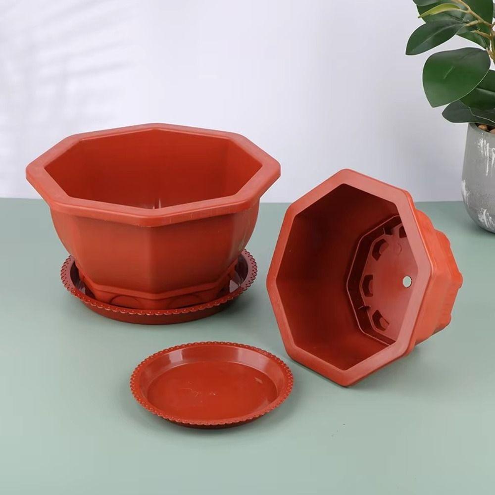 

with Tray Flower Pots Plastic Plant Growth Container Home Garden Decoration S