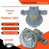 Explosion-proof LED Roadway Light DGS18/127L for Mining