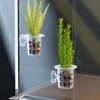 10 stuks Doorzichtige Plastic Aquarium Plantbekers Met Zuignap Waterplant Potten Voor Zoetwater Aquarium Decoratie
