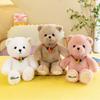 Lucky Teddy Bear Plush Toy For Girls Soft And Cuddly Stuffed Animal For Birthday Gift