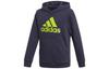 Sweatshirt Dark Blue Teenagers GK3199