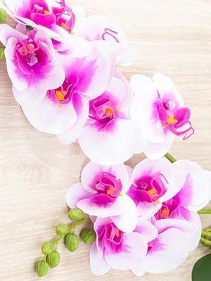 3 adet yapay çiçek Phalaenopsis Orkide Plastik Çiçekler Ev Dekorasyon için Sahte Çiçekler Sahne Düzeni Çiçek Aranjmanı