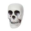 Halloween Hanging Skull Decoration Realistic Plastic Human Head Prop Spooky Skeleton Head Ornament with Lanyard for Home Party Haunted House Decor