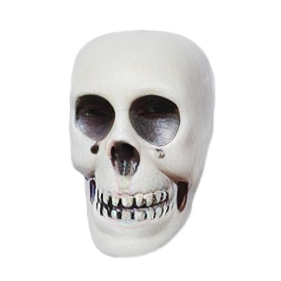 Halloween Hanging Skull Decoration Realistic Plastic Human Head Prop Spooky Skeleton Head Ornament with Lanyard for Home Party Haunted House Decor