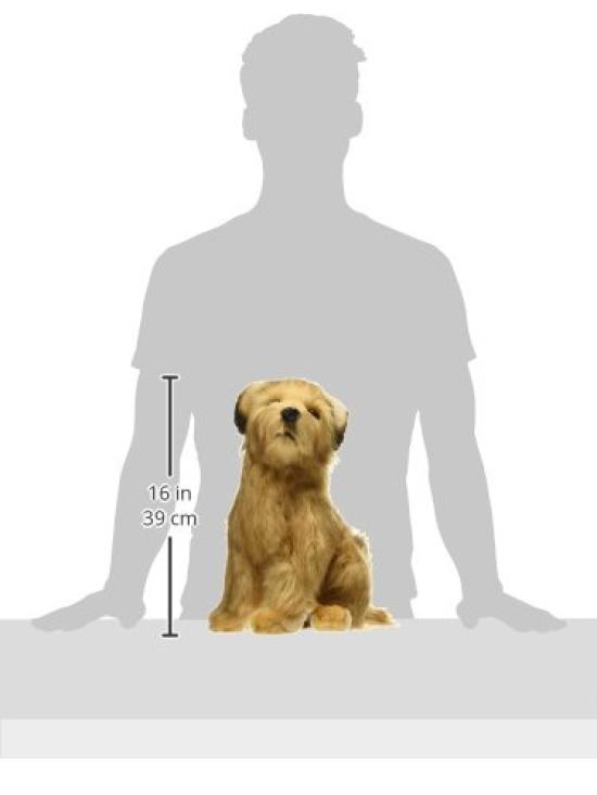 Norfolk Terrier No.3996