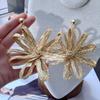 Elegant Straw Woven Earrings Bohemian Style Hollow Floral Earrings  Vacation