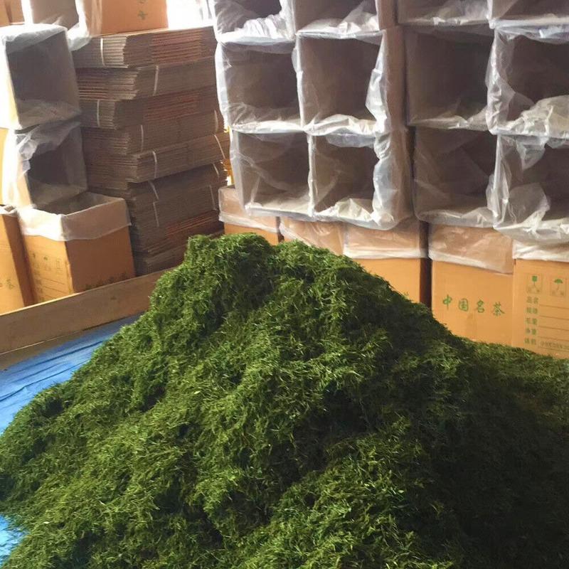 2023 Neuer Tee Gedämpfter Grüner Tee Yulu Sencha Matcha Pulver Genmaicha 500g/1,1lb