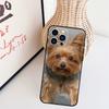 Yorkshire Terrier Dog Phone Case For iPhone 17 Pro Max 16 15 11 13 12 14 Pro Max Mini 15 16 Plus 16e 17 Air Cover