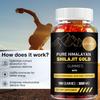 All-natural Shiraiji Gummies, Rich In Ashwagandha and Ginseng Extracts, Promote Muscle Recovery, Suitable for Adults.
