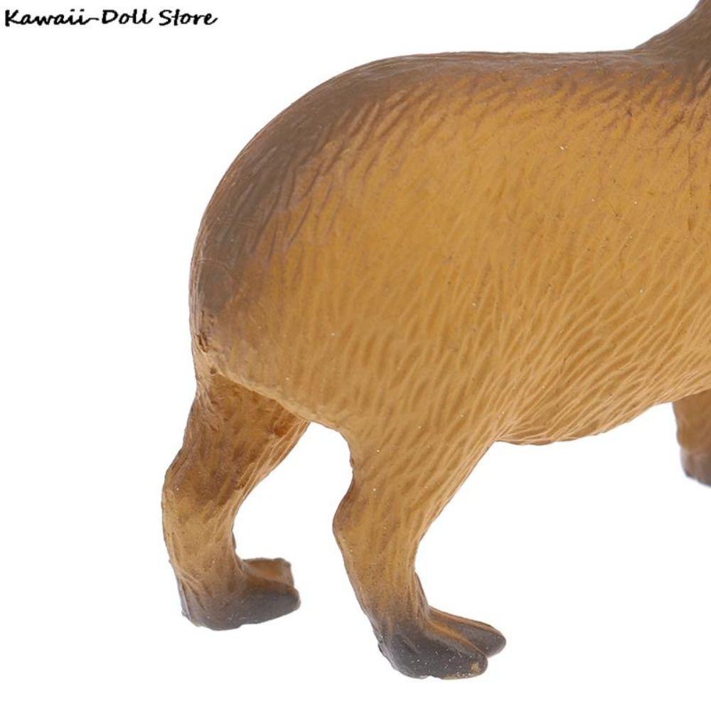 Model Capybara Action Figure Mini Wild Animal Model Water Dolphin Action Figure Capybara Model Toys