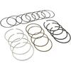 STD Engine Piston Ring Compatible with Buick Encore/with Chevy Cruze Sonic 1.4L L4 DOHC 16v 2011-2015, 25195065 55571045