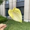10ks Mini Anthurium Umělé Květiny Falešné Stonky Alokasie pro Svatbu Domácí Květinové Uspořádání Dekorace