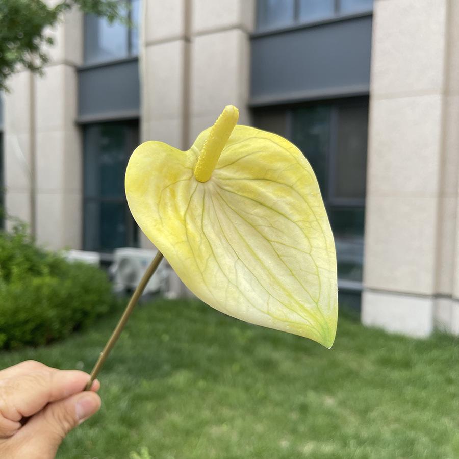 10ks Mini Anthurium Umělé Květiny Falešné Stonky Alokasie pro Svatbu Domácí Květinové Uspořádání Dekorace