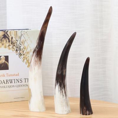 Natural Genuine Horn Ornaments Single Yellow Single Horn of Africa
