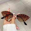 New Cat Eyes Sunglasses Luxury Brand Design Retro Colored Women Sun Glasses Holiday Camping Beach Party Uv400 Decoration Glasses