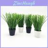 Artificial Allium Ascalonicum Potted Plant For Photography Studio Home Decor Gift