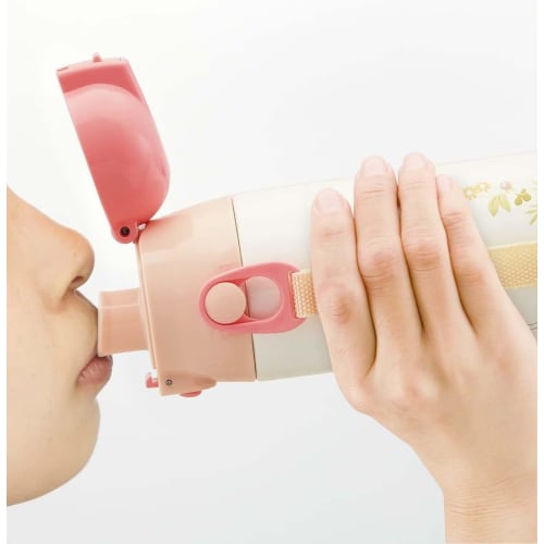 Skater Water Bottle My Neighbor Totoro with Mei 580ml Direct Drinking Stainless Steel Sports Bottle Studio Jib SDC6N-A