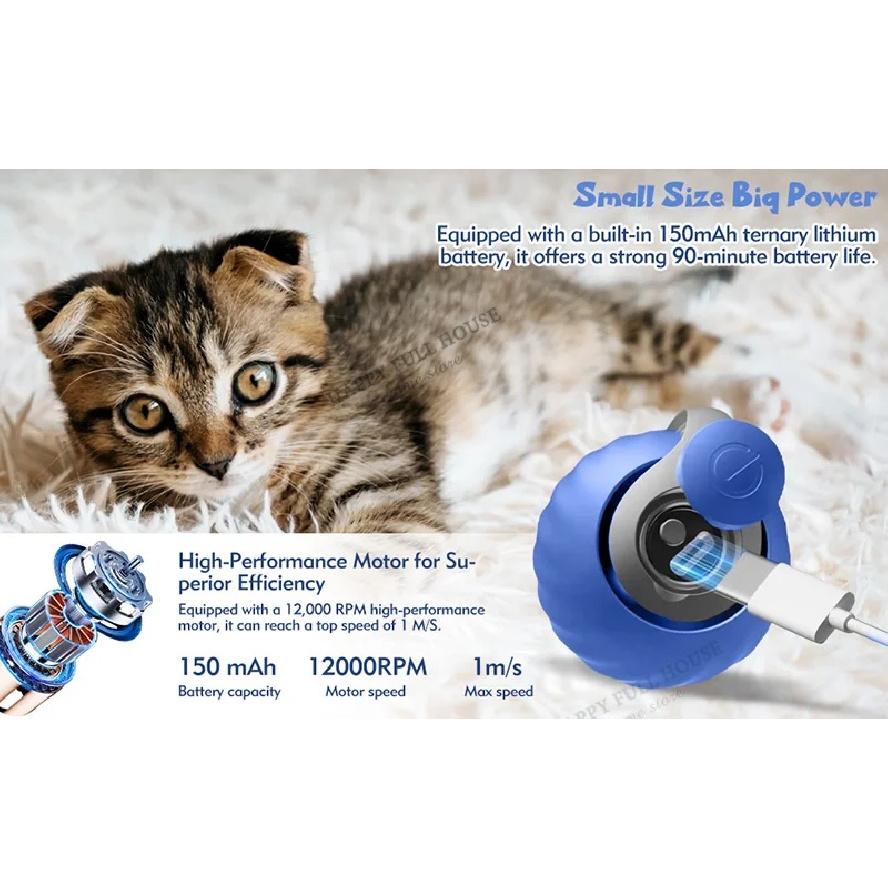 Interactive Cat Toy Balls, Automatic Toys for Cat with Replacement Tail, 2 Adjustable Modes, USB-Rechargeable Indoor Kitten Toy