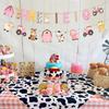 Cheereveal Pink Farm 3rd Birthday Decorations, THREE I E I O Farm Animals Banner, Farmhouse Barnyard Bunting Hanging Garland for THREE Year Old Bday