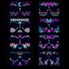 Music Festival Fluorescent Face Waterproof Nightclub Masquerade Neon Glow Tattoo Stickers