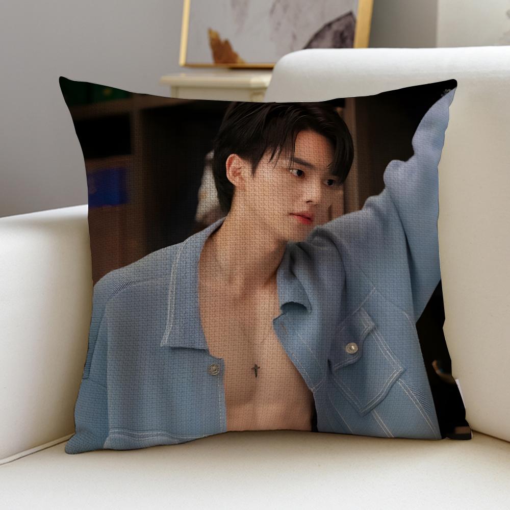 KKorean actor Song KangS Cushion Cover Breathable and skinfriendly linen pillowcase square removable and washable cushion
