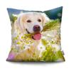 Luxury Home Decor Pillow Cover Cute Puppy Labrador Golden Retriever Office Sofa Car Cushion Cover