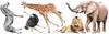 Decorative Stickers For Kids - Savannah