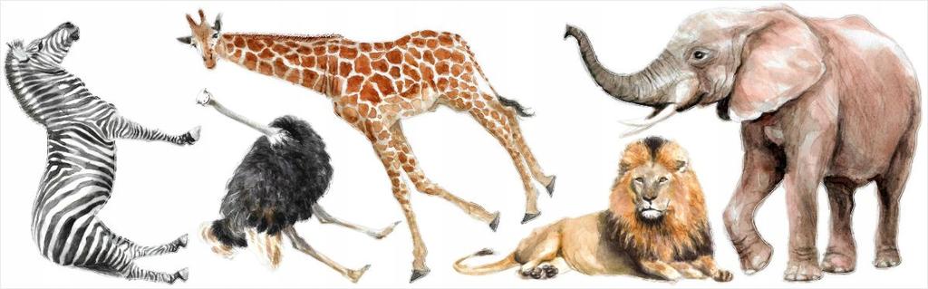 Decorative Stickers For Kids - Savannah