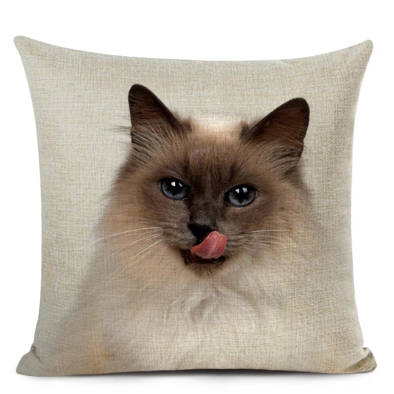 Haustier Katze Print Wurf Kissenbezug Niedliche Kurzhaar Dekorative Kissenbezug für Wohnkultur