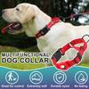 The Dog Collar, Positioning Device, Leash, Pet Supplies, and Dog Leash Can Be Adjusted