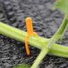 100 ks 50/65 MM Klipy na upevnenie stoniek rastlín Fixátor popínavých rastlín a odnoží Jahoda Melón Poľnohospodárska svorka Podpora záhradných rastlín