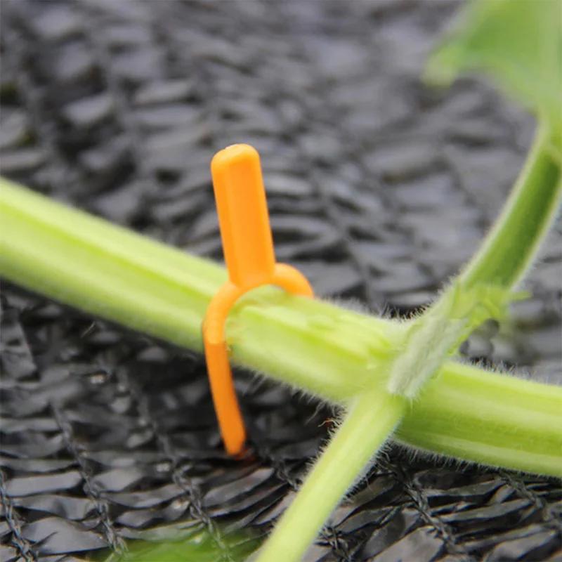 100 ks 50/65 MM Klipy na upevnenie stoniek rastlín Fixátor popínavých rastlín a odnoží Jahoda Melón Poľnohospodárska svorka Podpora záhradných rastlín