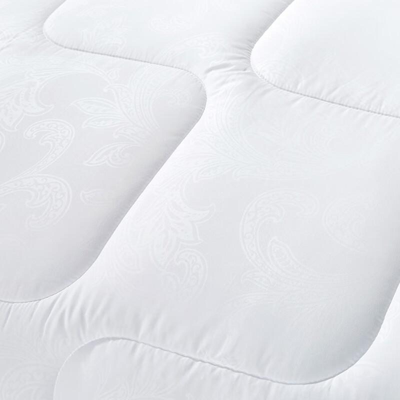 FUANNA Ryan All-Season Fiber Comforter