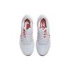 Nike Air Zoom Pegasus 39 'Platinum Tint Light Crimson' DH4071-009