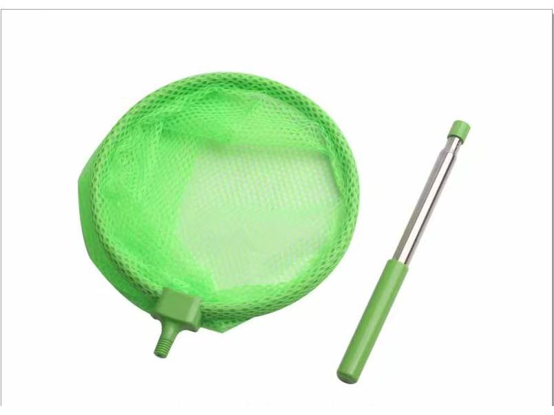 Portable Insect Observation Cage for Butterflies, Silkworms, and Bees